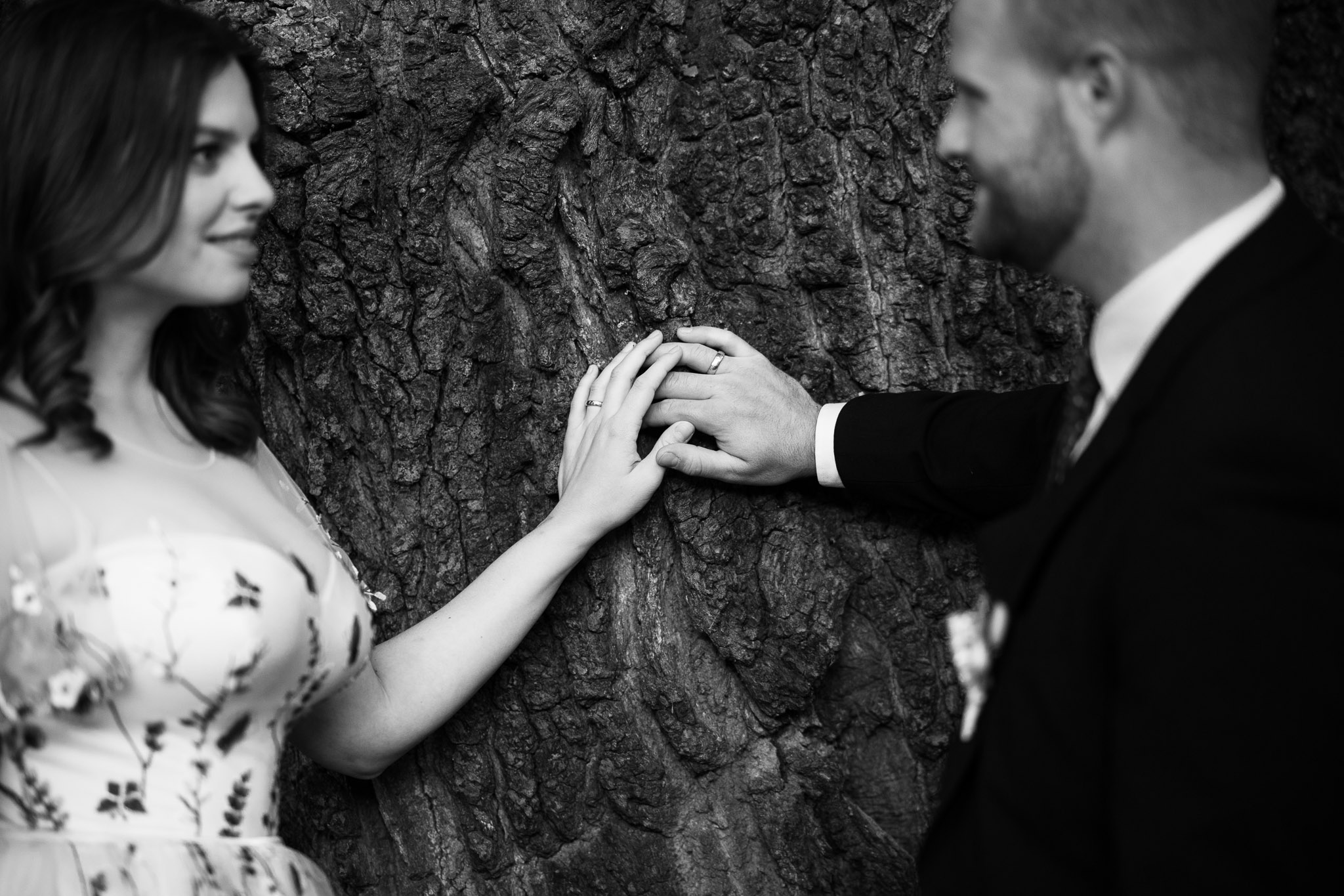 Brautpaar schaut sich an und hat die Hände an großem alten Baum übereinander - Kassel Karlsaue
