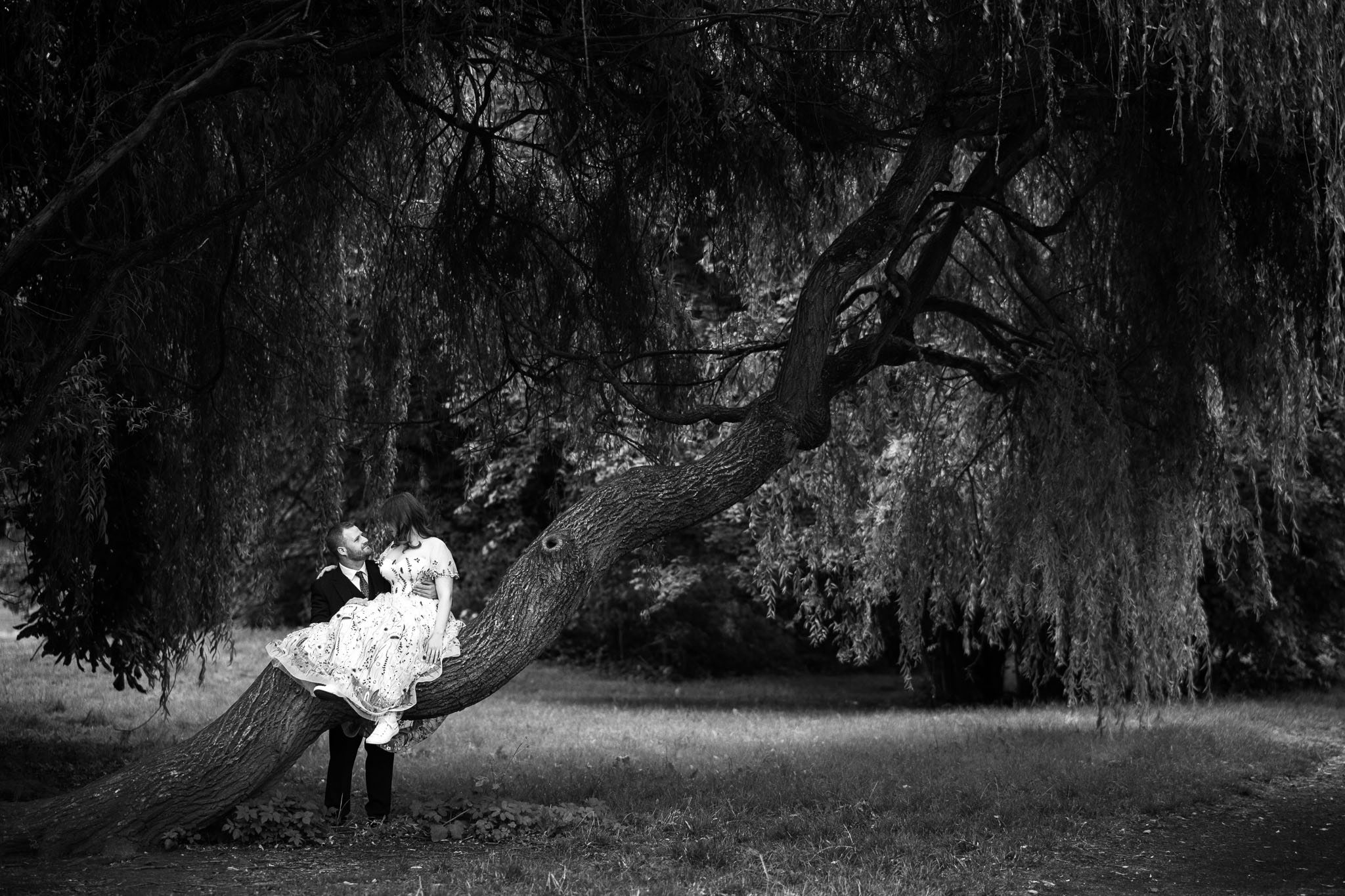 Brautpaar an altem großen Baum. Braut sitzt auf Ast